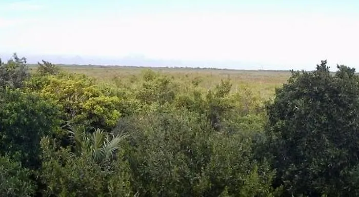 Apartment 2 Br-house In With Stunning View *